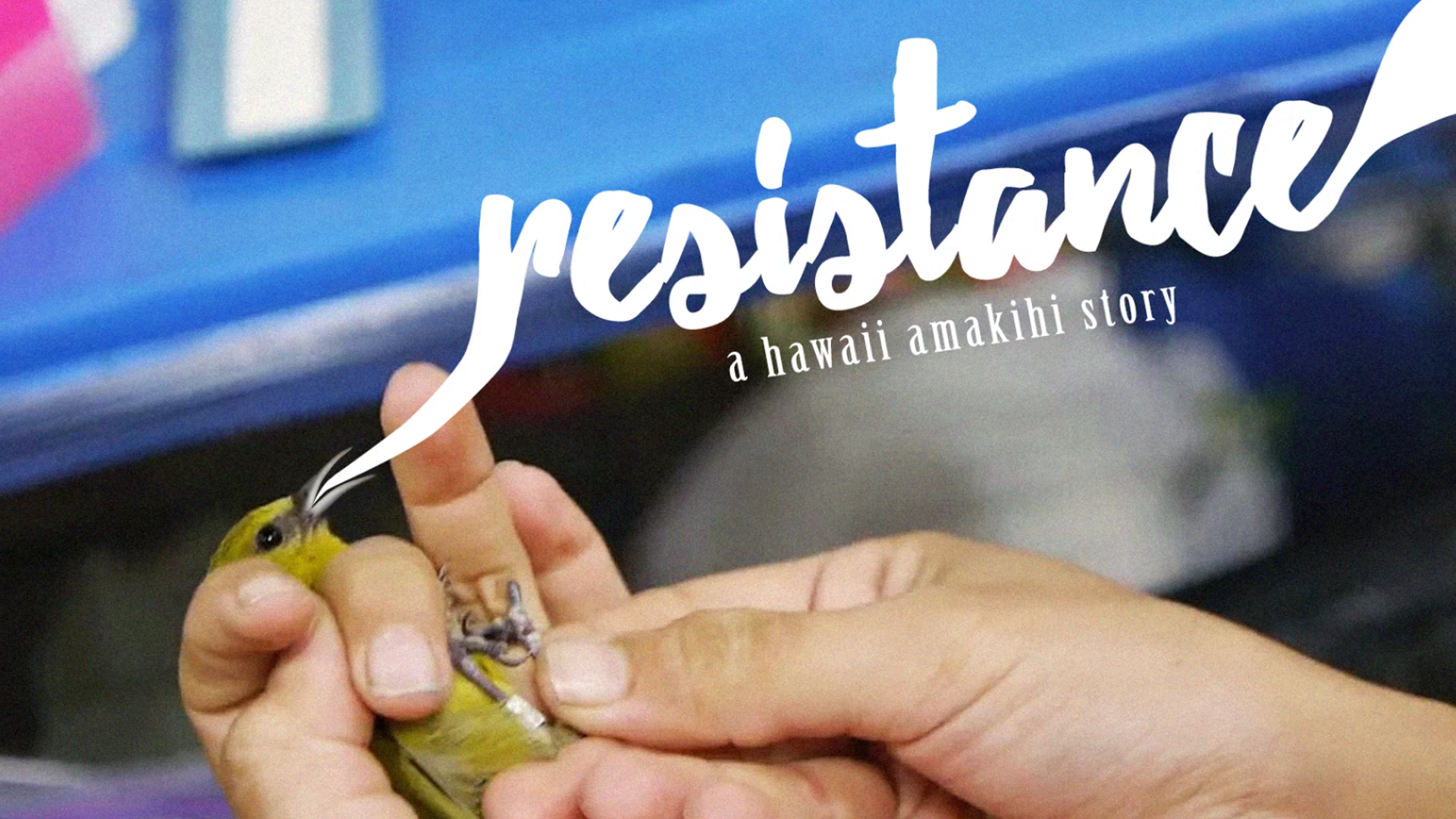 Stone Watson - Resistance A Hawaii Amakihi Story - Mini Documentary